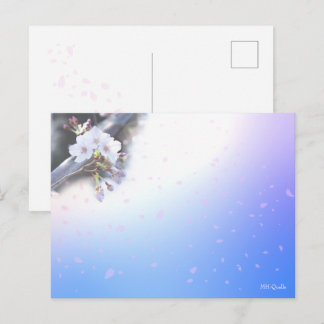 POSTAL 桜のシーズンポストカード 