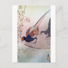 Postal 桜 に キ ジ, 古 邨 flores de faisán y cerezo, Ohara Koso