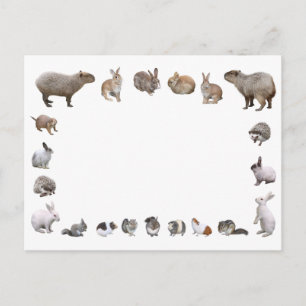 POSTAL 様 々 な 小 動 物