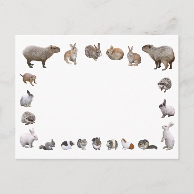 POSTAL 様 々 な 小 動 物 (Anverso)