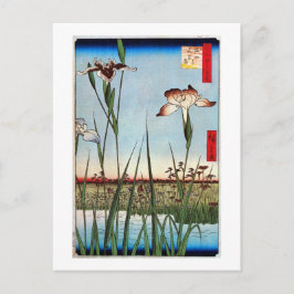 Postal 江戸の菖蒲, iris del 広重 de Edo, Hiroshige