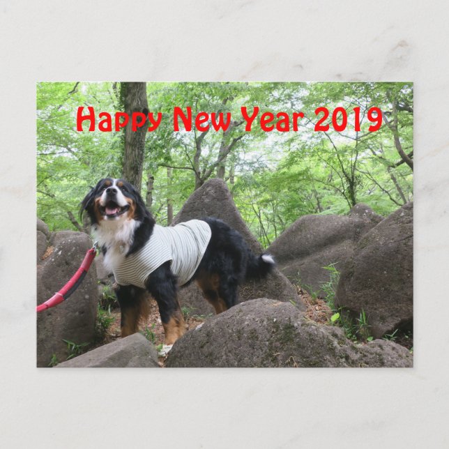 Postal 状 賀 de 花 音2019年 (Anverso)