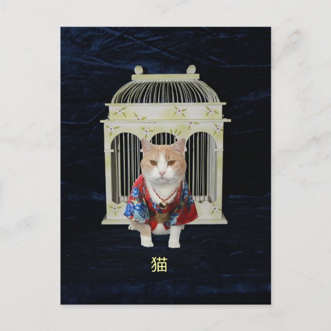 Postal 猫 Gato Lucky (Anverso)