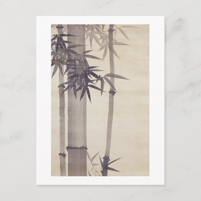 Postal 竹, 其 一 Bambú, Kiitsu, Japón Art (Anverso)