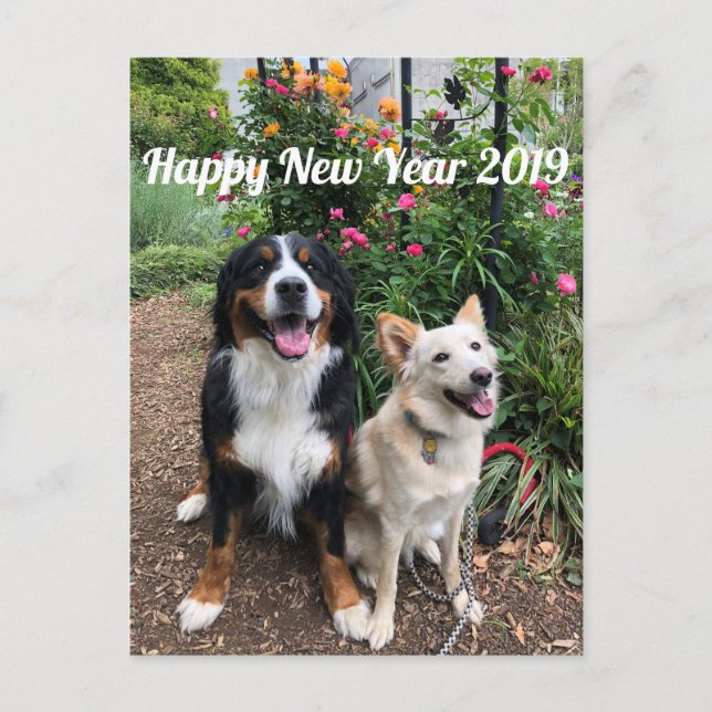 POSTAL 花 雪 の 年 状2019 (Anverso)