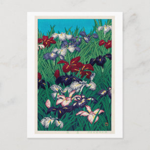 Postal 菖蒲, iris, Hasui Kawase, grabar en madera