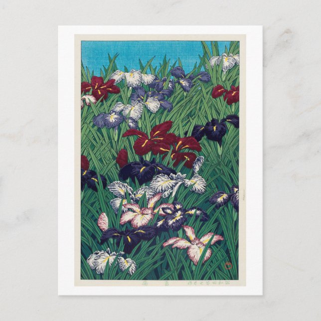 Postal 菖蒲, iris, Hasui Kawase, grabar en madera (Anverso)