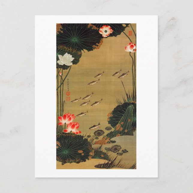 Postal 蓮 池 遊 魚 図, 若 Pond con el Lotus, Jakuchū (Anverso)
