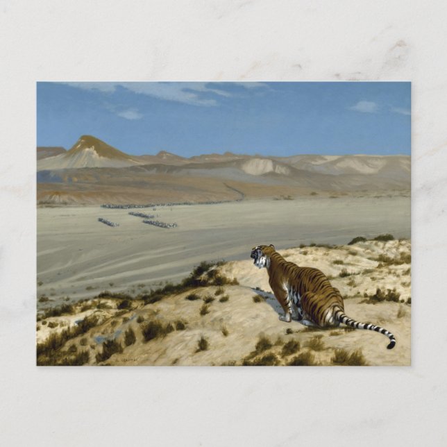 POSTAL 虎 (Anverso)