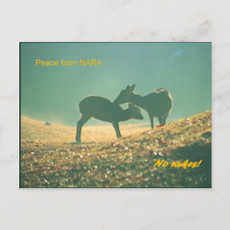 Postal 鹿 nara