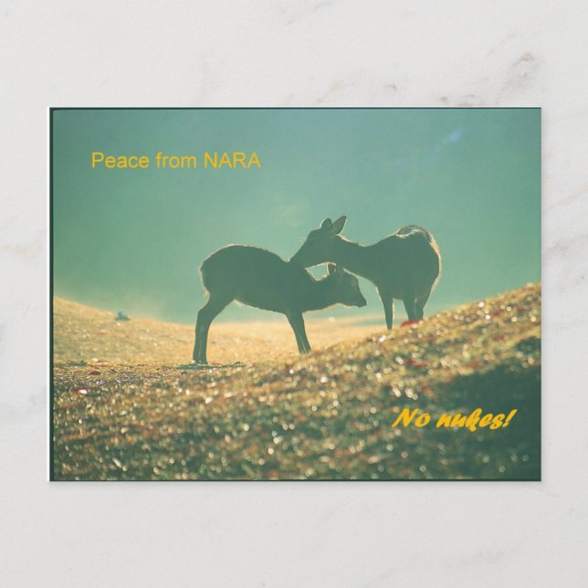 Postal 鹿 nara (Anverso)