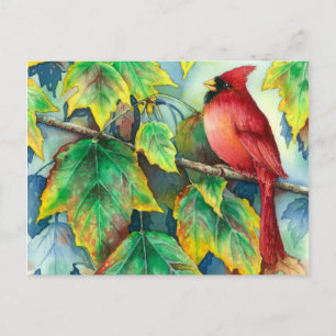 Postal 0004 CardinalPostcard