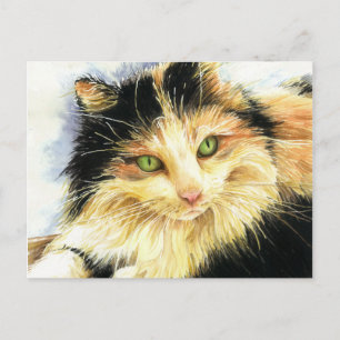 Postal 0010 Gato de Calico