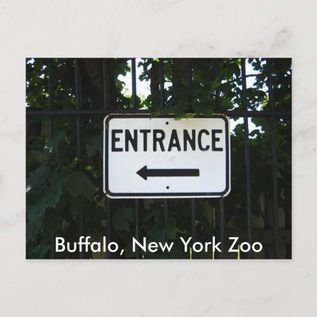 Postal 001, Búfalo, zoológico de Nueva York (Anverso)