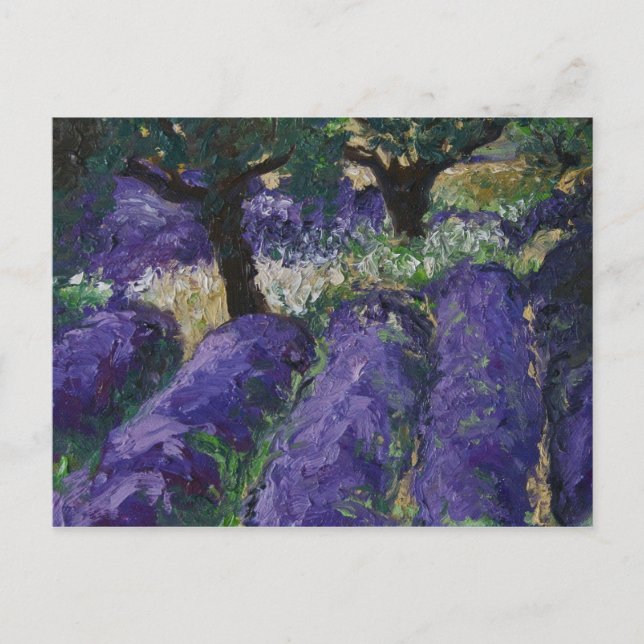 Postal 0063-le champ de lavande (Anverso)