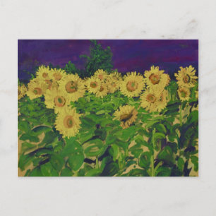 Postal 0067 tournesols de le champ des