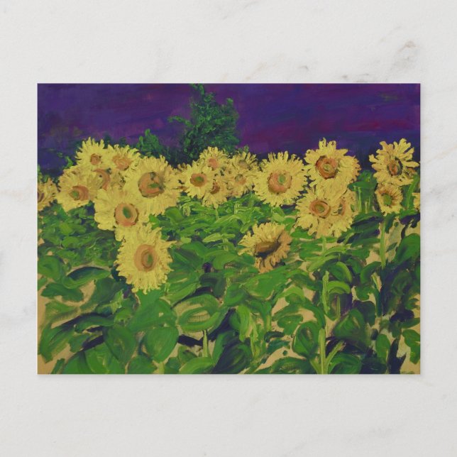 Postal 0067 tournesols de le champ des (Anverso)