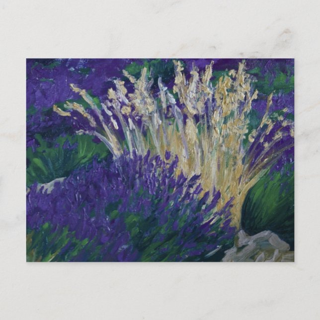 Postal 0071-le champ de lavande (Anverso)