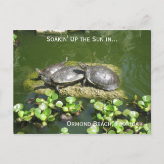 Postal 03-21-10 246, Ormond Beach, Florida, Soakin' Up...