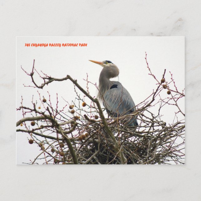 POSTAL 04011-70-APC (Anverso)