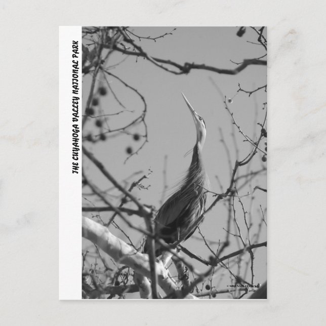 POSTAL 040510-9-APC (Anverso)