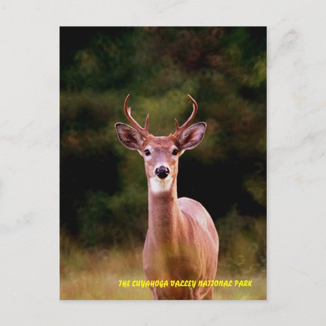 POSTAL 070306-34-APC (Anverso)