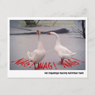 POSTAL 072506-10-APC NAG, NAG, NAG