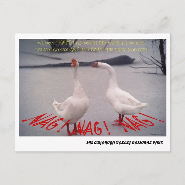 POSTAL 072506-10-APC NAG, NAG, NAG (Anverso)