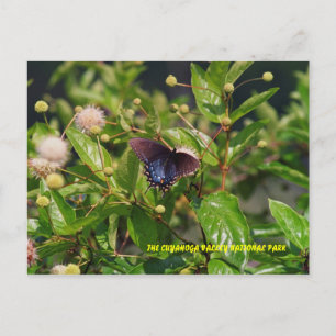 POSTAL 080706-6PC