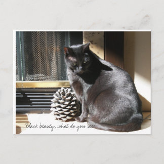 Postal ¿100_0305, belleza negra, qué usted ve?