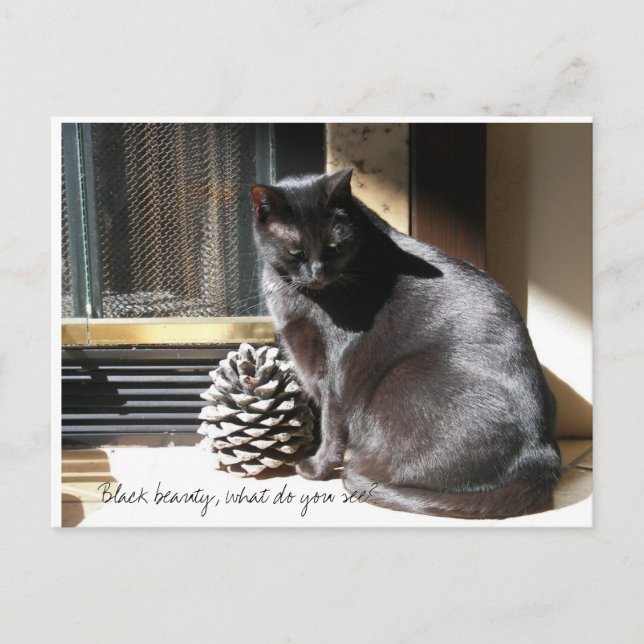 Postal ¿100_0305, belleza negra, qué usted ve? (Anverso)