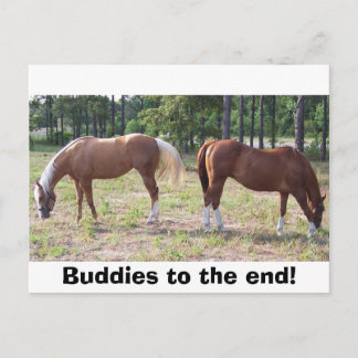 Postal 100_0350, ¡Buddies hasta el final!