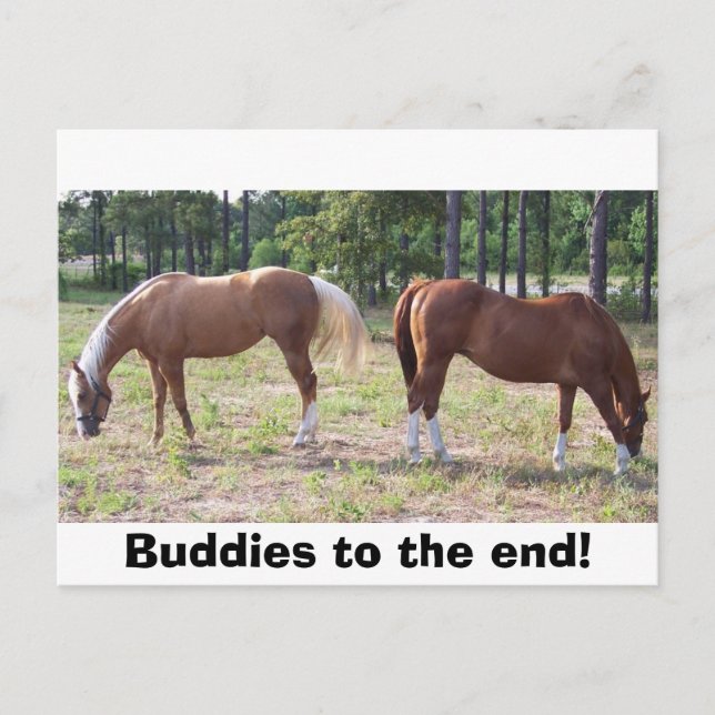 Postal 100_0350, ¡Buddies hasta el final! (Anverso)