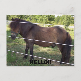 POSTAL 100_0376, ¡¡HOLA!!