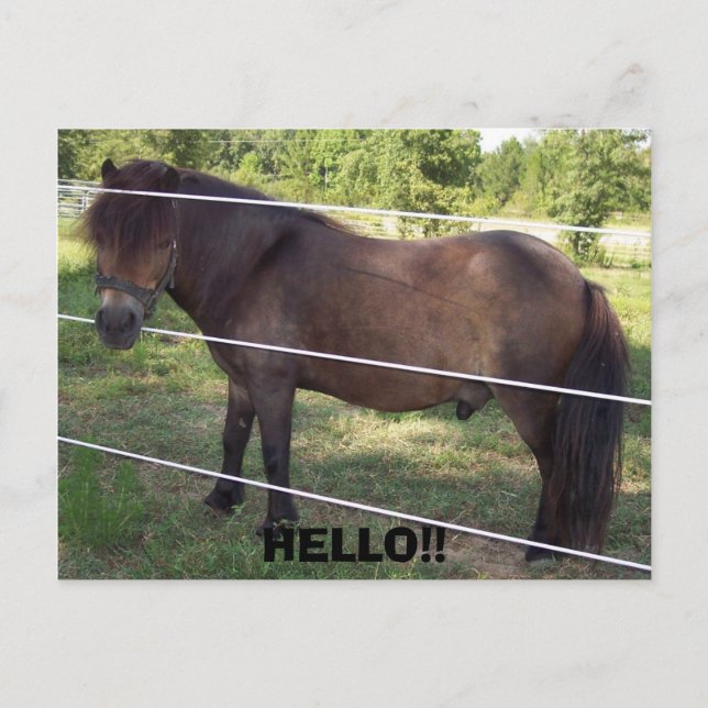 POSTAL 100_0376, ¡¡HOLA!! (Anverso)