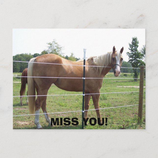 POSTAL 100_0415, ¡TE ECHAS DE MENOS! (Anverso)