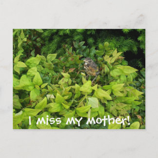 Postal 100_1805, ¡extraño a mi madre!