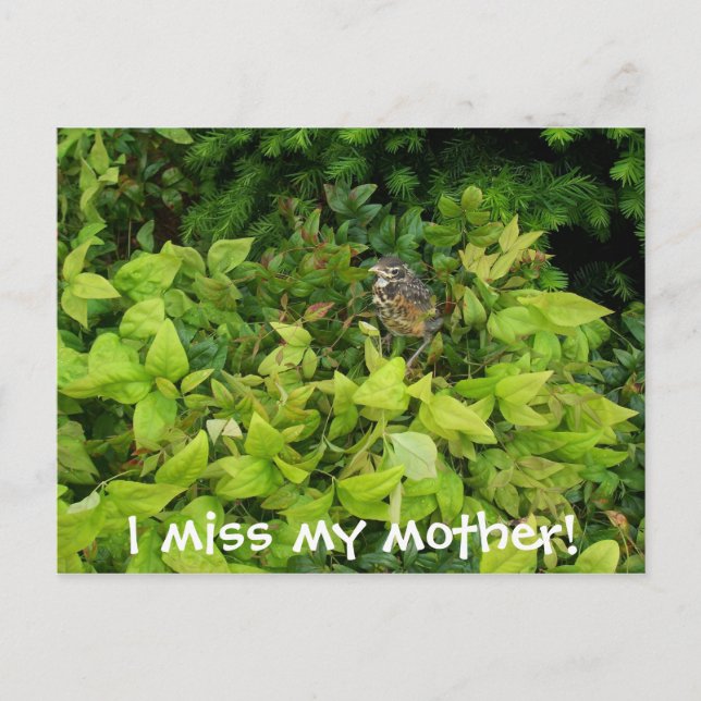 Postal 100_1805, ¡extraño a mi madre! (Anverso)