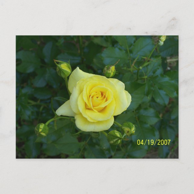 POSTAL 100_3464 (Anverso)