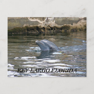 POSTAL 100_8578, CLAVE LARGO FLORIDA
