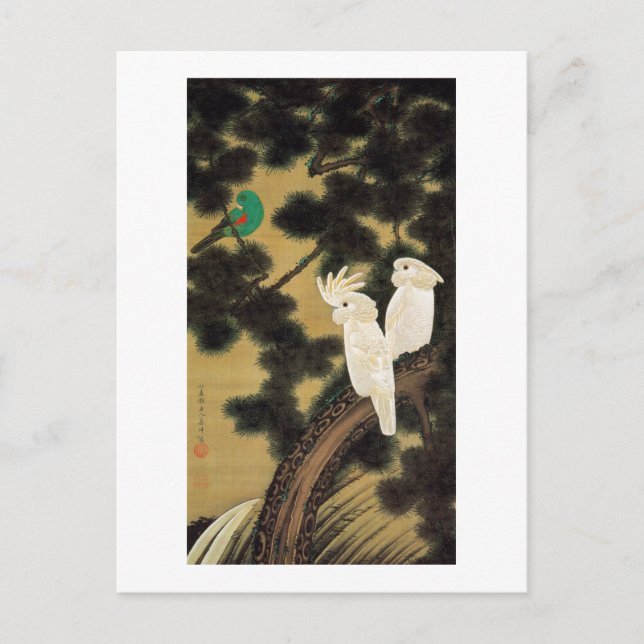 Postal 12. 老 松 鸚 鵡 図, 若 Pine-tree & Parrot, Jakuchū (Anverso)