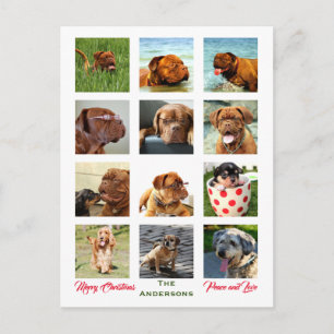 Postal 12 Fotos Familia Collage Navidad ✨