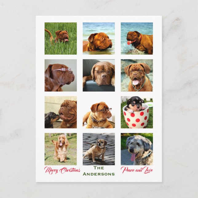 Postal 12 Fotos Familiares ✨  Collage de Navidad (Anverso)