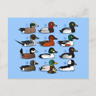 Postal 12 Patos