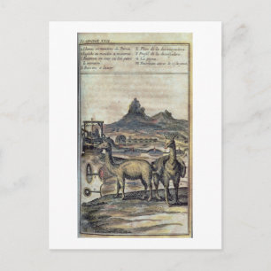 Postal 137-0627924 Ilustracion de la historia del Perú sh