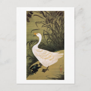 Postal 13. 芦 鵞 図, 若 Reed & Goose, Jakuchū, Japón Art