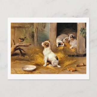 Postal 13 bis Los Cachorros