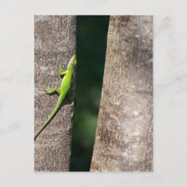 Postal 15 minutos.JPG