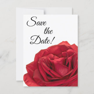 Postal 1822-Rosas Rojas