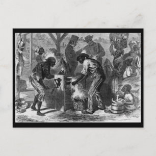 Postal 1869 La primera historia afroamericana de algodón